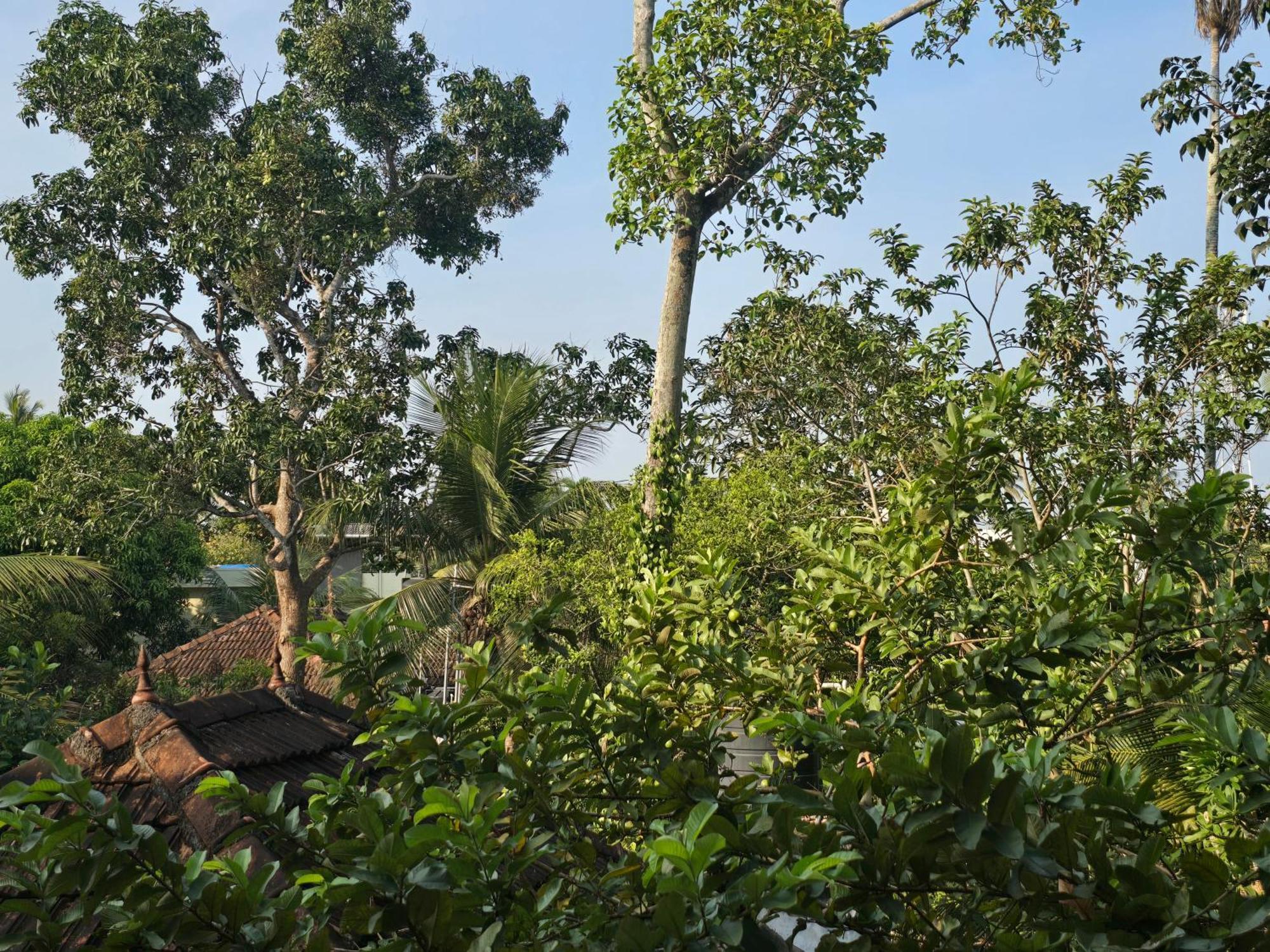 Bella Homestay Kerala Alappuzha Exterior photo