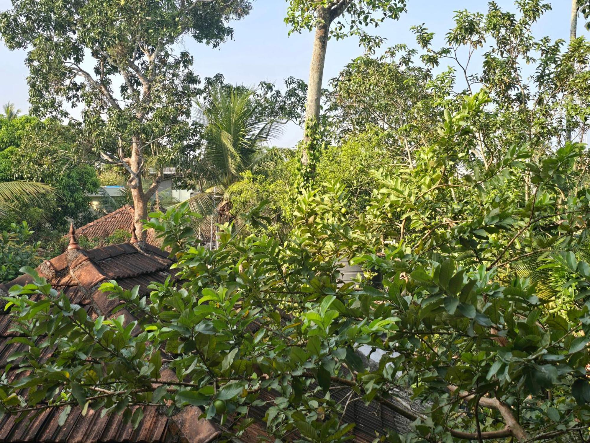 Bella Homestay Kerala Alappuzha Exterior photo
