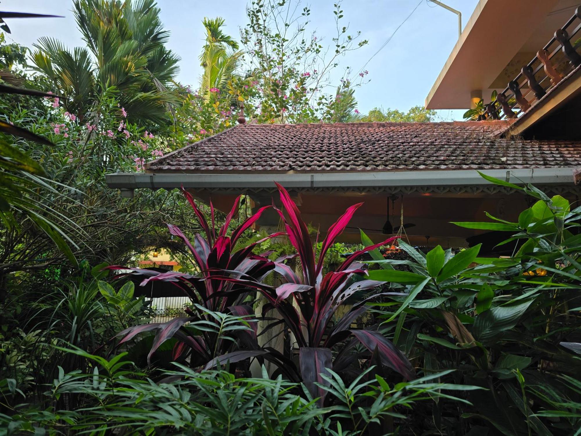 Bella Homestay Kerala Alappuzha Exterior photo